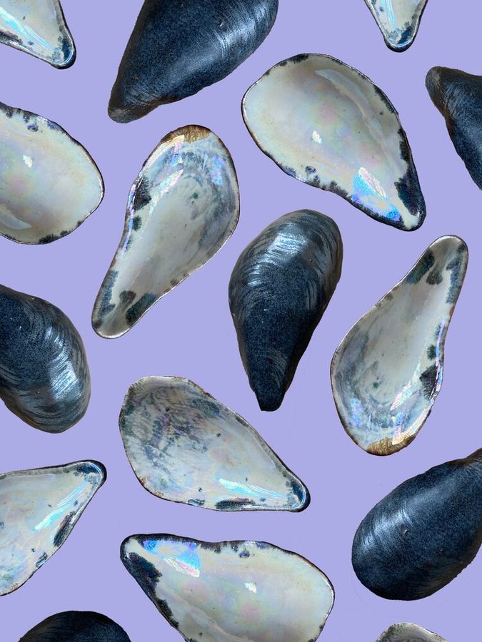 Ceramic Mussel Shell Pinch Pot — Minnie-Mae Stott Studio added by Spoak 
