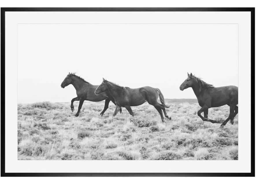 Horse Print added by Ellie Lorino