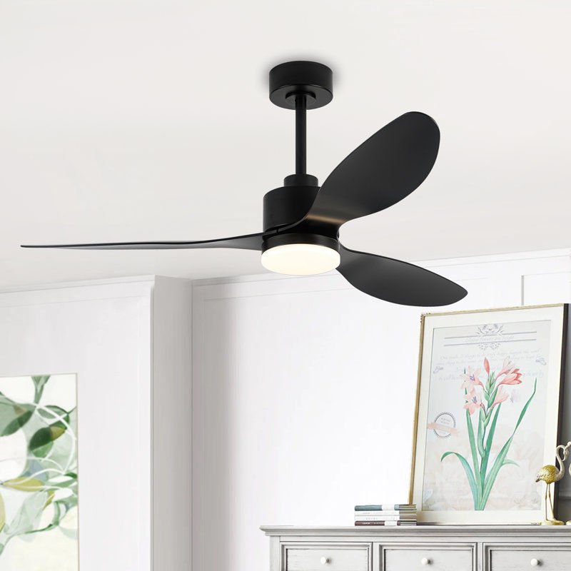 fan added by sallie tyler