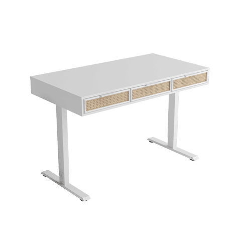 standing desk white added by Erika Clemens