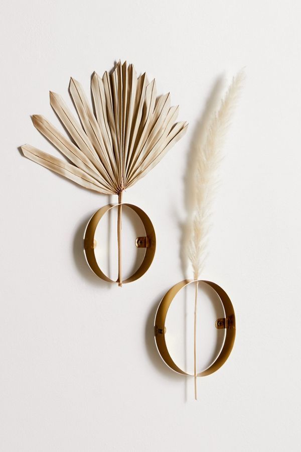 Circle Wall-Mounted Stem Vase added by erika grossman