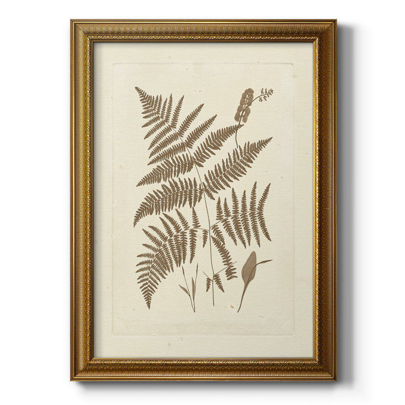 Bayou Breeze Sepia Ferns I - Picture Frame Print on Canvas | Wayfair added by Christin Rhodes
