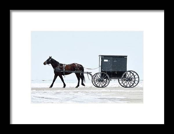 Amish Horse and Buggy 0403 Framed Print by Michael Peychich added by Natasha Fletcher