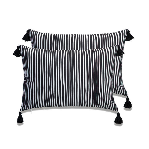 Cashaun Tassels Polyester Indoor/Outdoor Pillow Cover added by sallie tyler