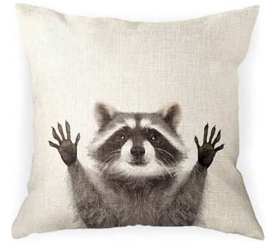Raccoon Pillow added by Missy Langley