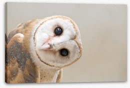 I'll be watching you Stretched Canvas 2135 by Wall Art Prints added by Sara Prising