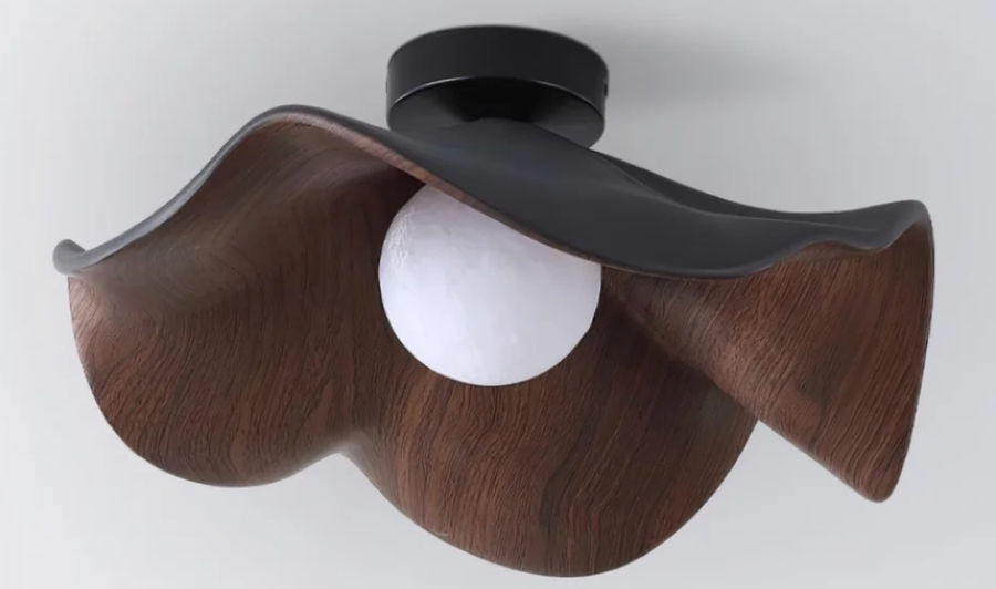 Casia Ceiling Light added by Danielle Hayon