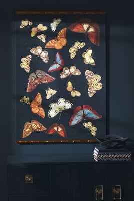 Butterfly Panel Wall Art added by Spoak Member