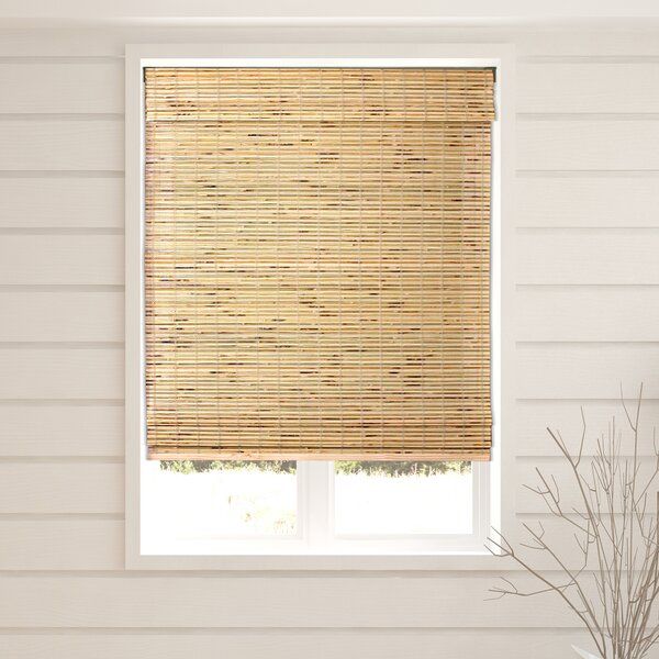 Aymeric Semi-Sheer Turtle Brown Roman Shade added by Caroline Snavely