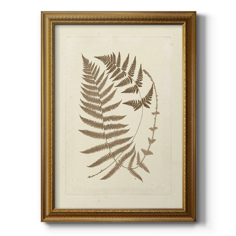 Red Barrel Studio® Sepia Ferns V Premium Framed Canvas- Ready To Hang | Wayfair added by Christin Rhodes