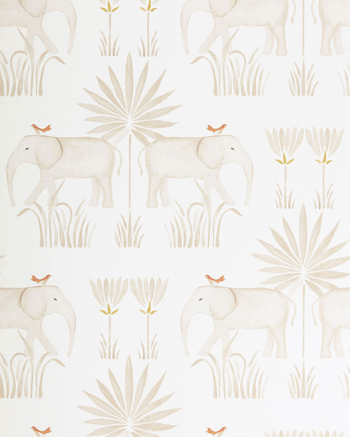 Kalahari Wallpaper added by Emily Emmert