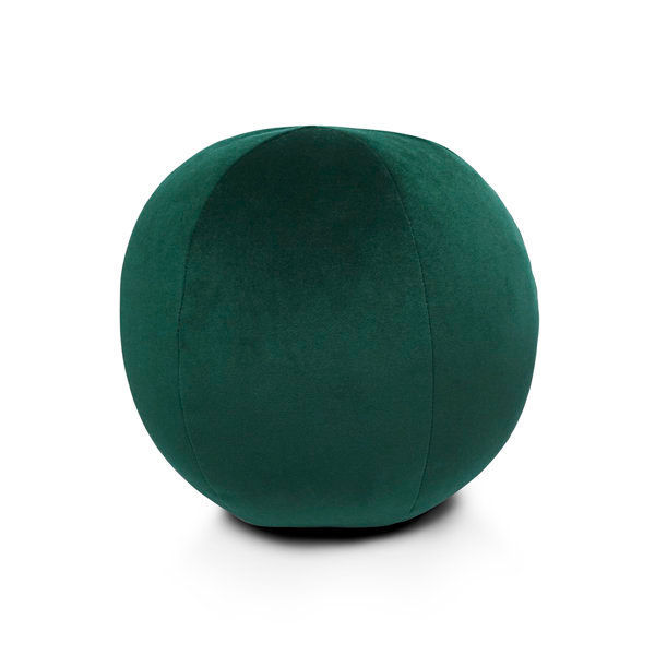 Posh Ball Circular Pillow Cover & Insert added by Veronica Smith