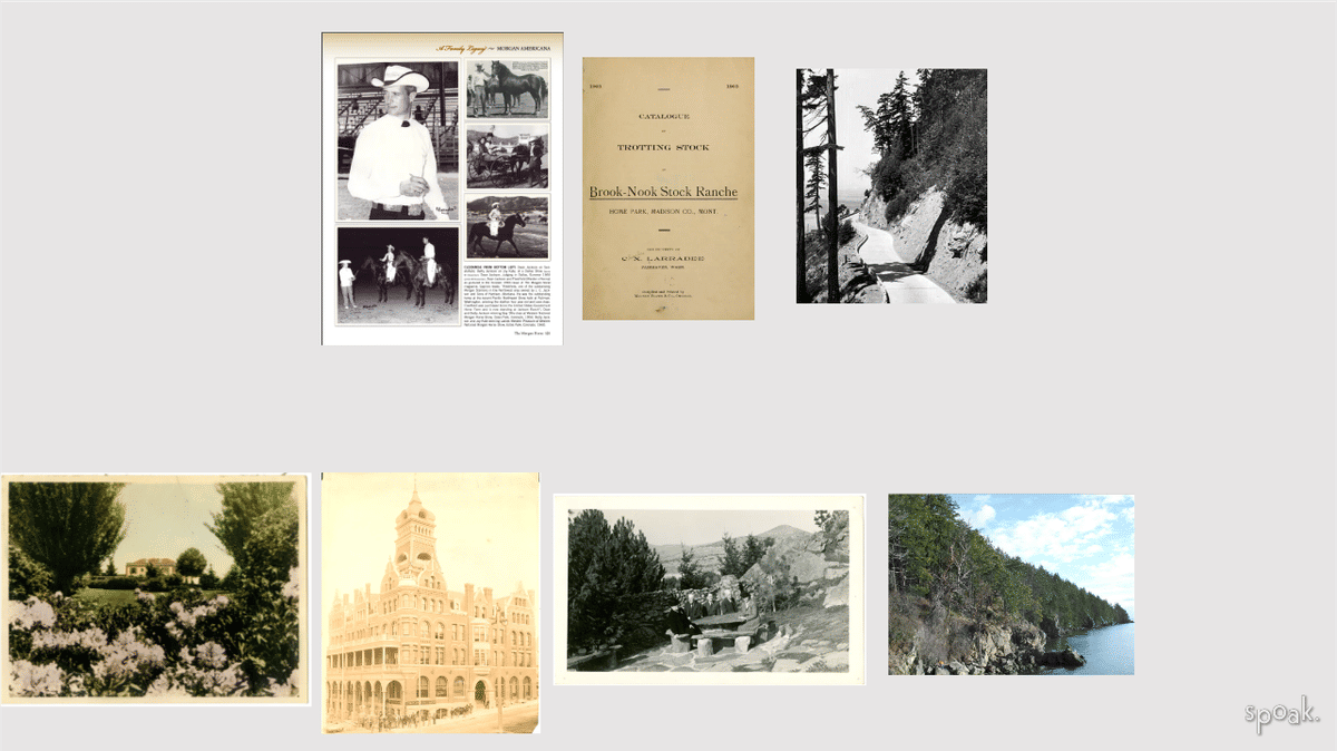 Vintage Inspo designed by Mackenzie Schieck