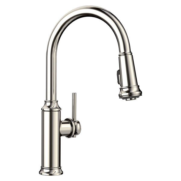 Blanco Empressa 1.5 GPM Brass Kitchen Faucet, Pull-Down, Polished Nickel, 442502 added by Kelly Hudson