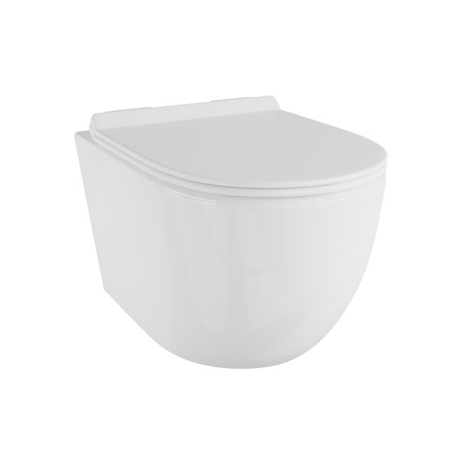 Eridanus Hampton Crisp White Dual Flush D-shape Custom Height Soft Close 1-Piece Toilet added by Danielle Lambert