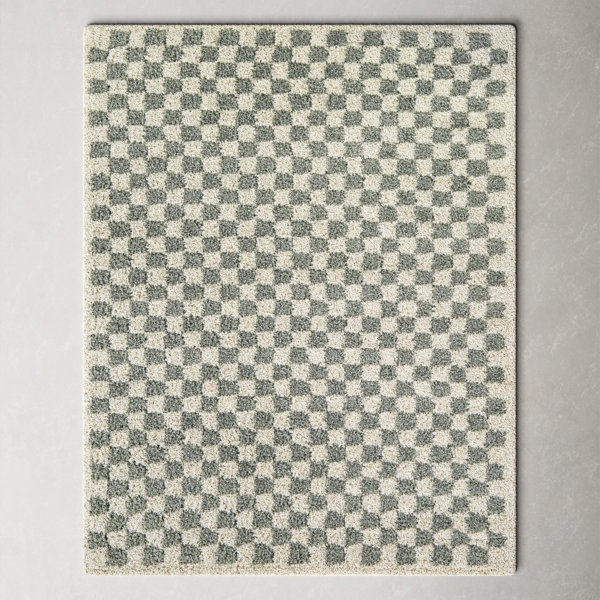 Aiylah Walker Checkered Sage/Cream Plush Shag Area Rug added by Emily Monsees