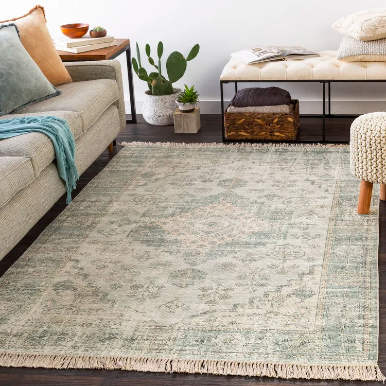 Tucson Oriental Handwoven Area Rug | AllModern added by Kiki Cooney
