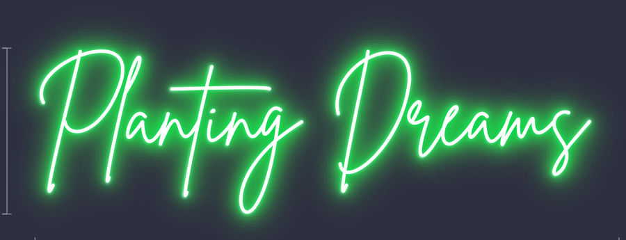 Custom Neon Name Signs – Light Up Last Name with LED Lights added by Hannah McKernan
