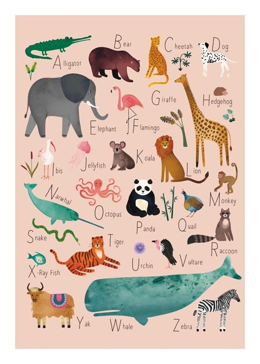 Alphabet Animals 1 Poster added by Olga Dragieva