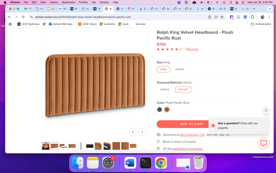 Rolph Queen Velvet Headboard - Plush Pacific Rust added by Riki Przytula