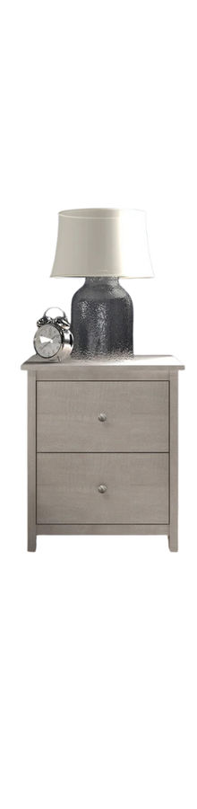 Isenbert 21.9" 2 Drawer Nightstand added by Margarette Cayao