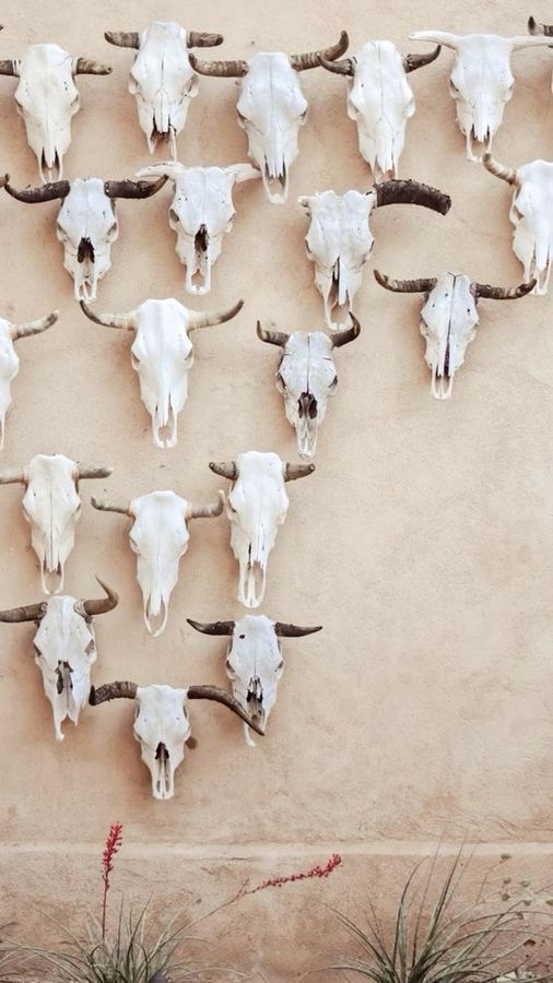western boho aesthetic | Western wallpaper iphone, Western aesthetic wallpaper, Western wall art added by Holly Larzelier