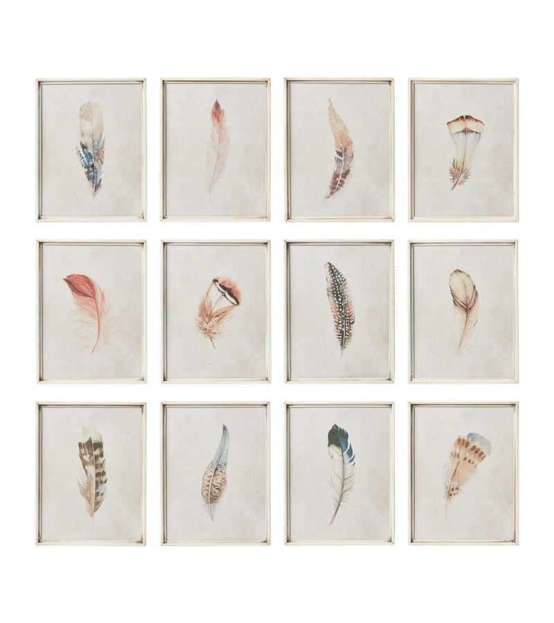 Set of 12 Feather Prints - Multi | OKA US added by Katie Farruggia