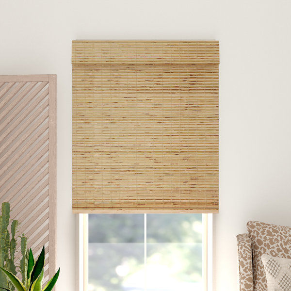 Aymeric Semi-Sheer Roman Shade added by Janae Sullivan
