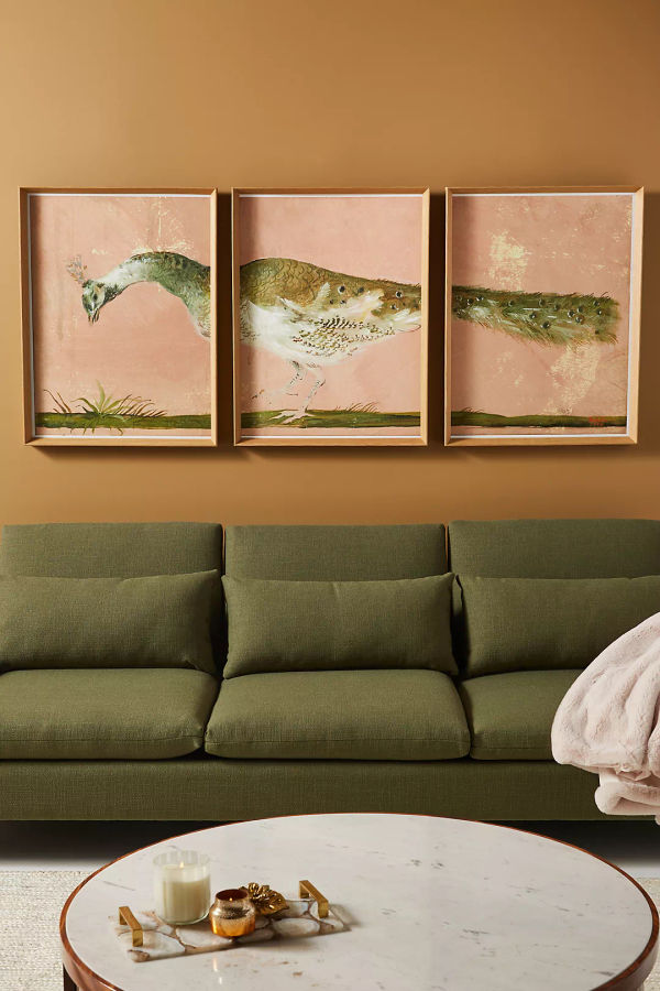 Peacock Triptych Wall Art added by Caitlin Vincent