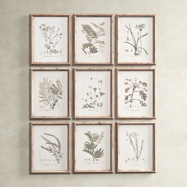 Ridgewood Botanical Framed On Paper 9 Pieces Print added by sallie tyler