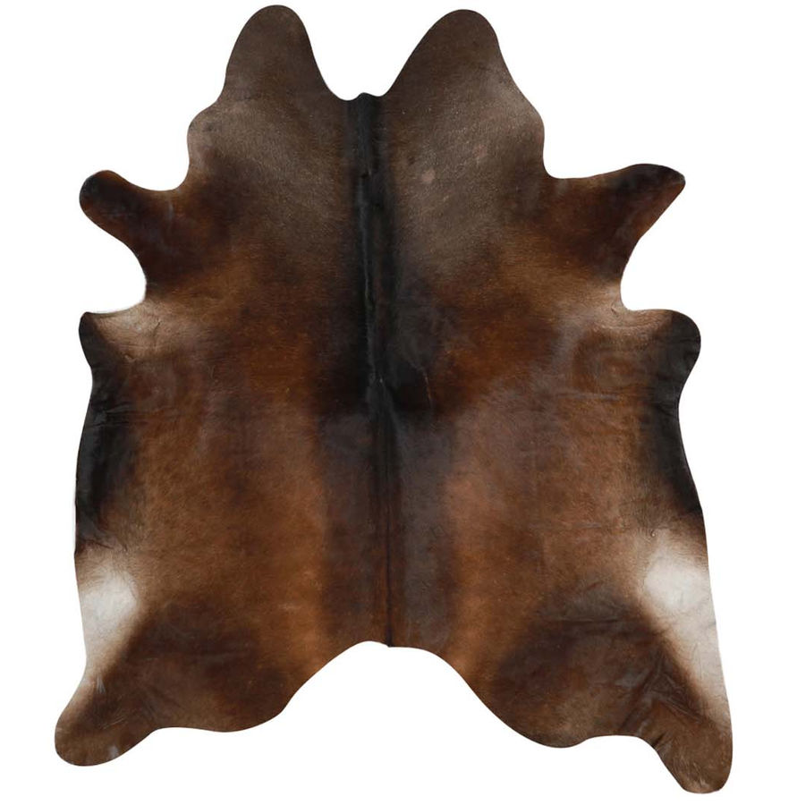 Chocolate Brazilian Cowhide Rug added by Connie Schwartz