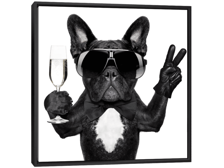 Cocktail Dog Canvas Wall Art by damedeeso | iCanvas added by HELEN SALGADO