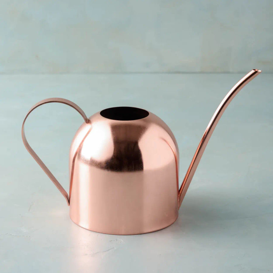 Copper Watering Can added by Olga Dragieva