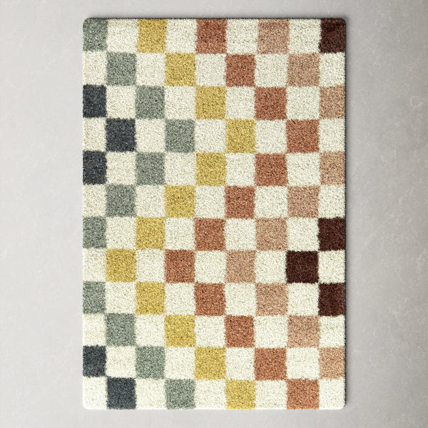 Leonie Florence-Graham Checkered Rainbow Colored Shag Area Rug added by Ally Doman