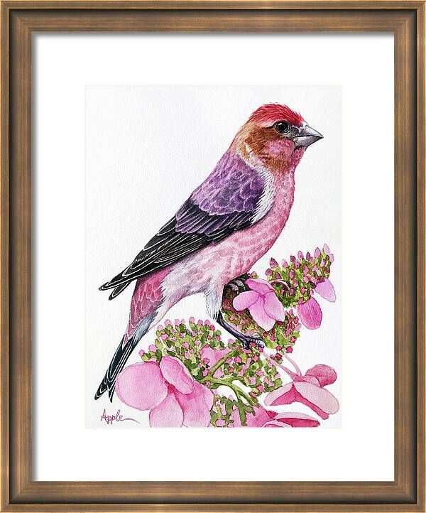 Purple Finch - New Hampshire state bird Framed Print by Linda Apple added by HELEN SALGADO