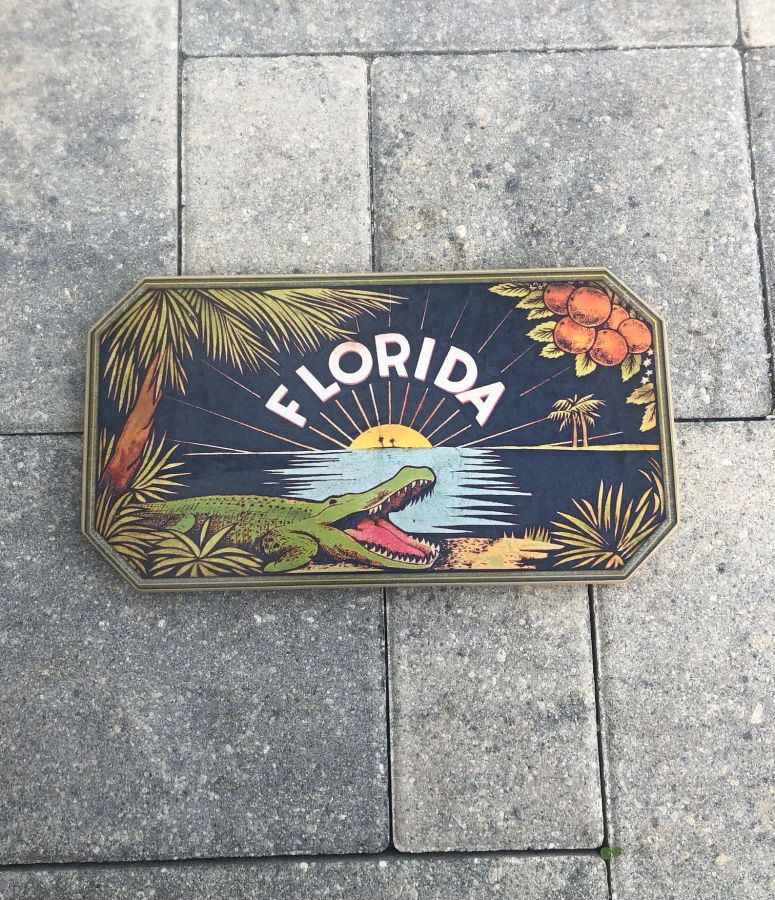 Fl gator added by Candela Lemos