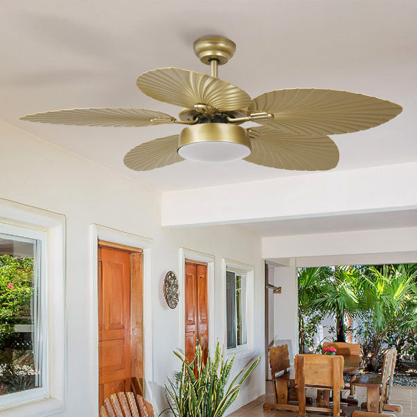 Kowalewski 52'' Ceiling Fan with LED Lights added by Saddia Patton