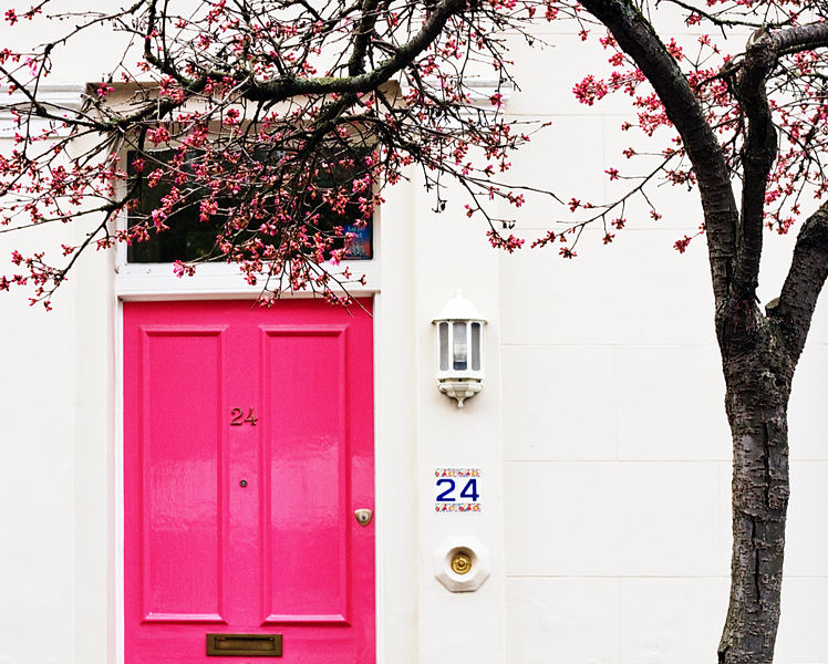 A Study in Pink by Keri Bevan on Artfully Walls added by Lindsay Parr