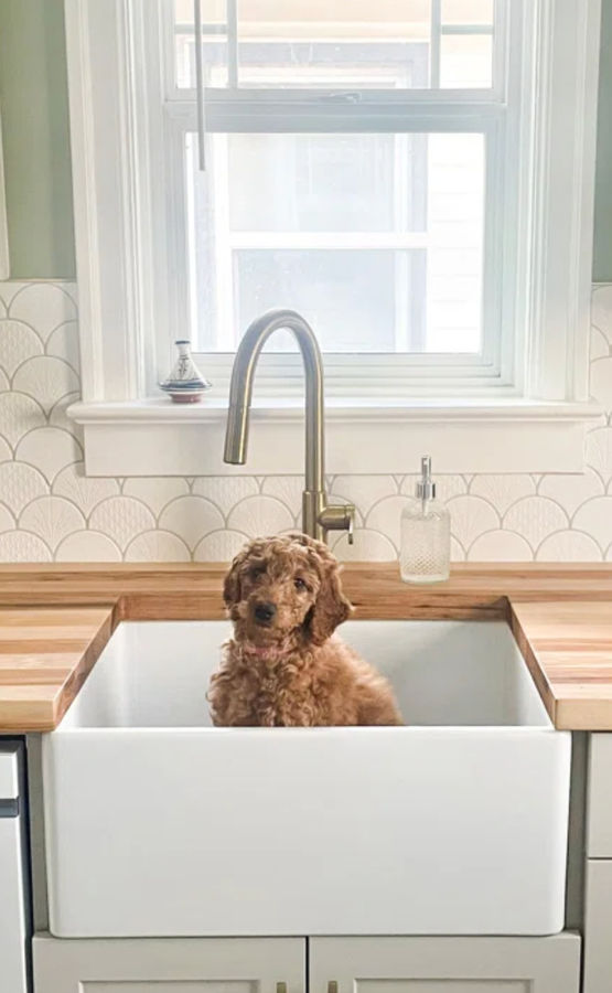 Austen Crisp White Fireclay Single Bowl Farmhouse Apron Front Undermount Kitchen Sink added by Rachael Ponn