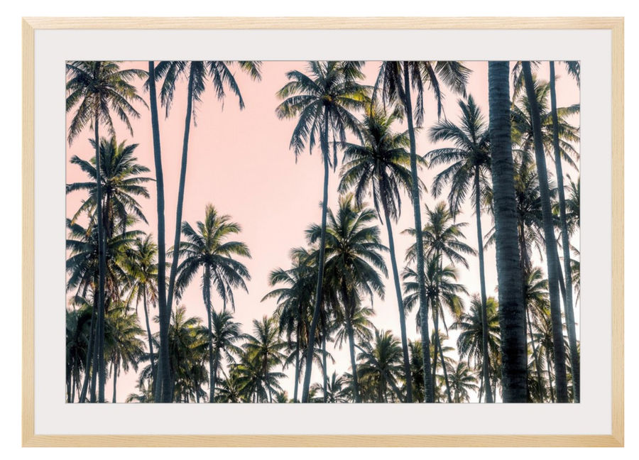 36x24" Framed Print Palms View On Pink Sky II added by KH Design Concepts