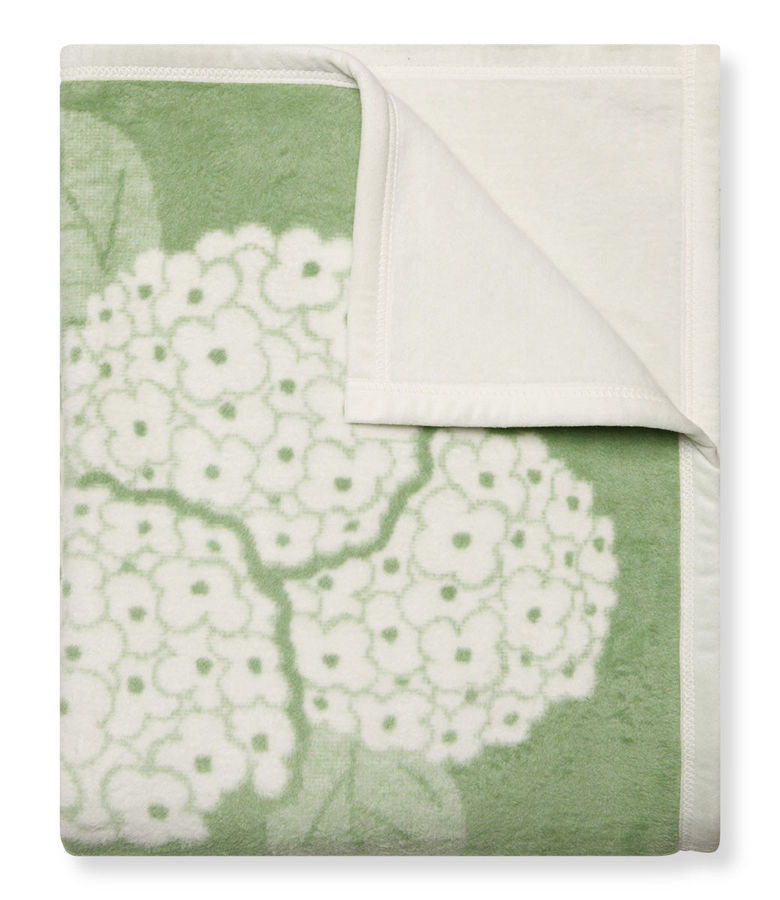 Hydrangeas Sage Blanket added by kendall curley
