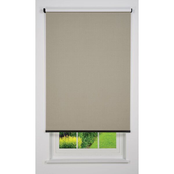 Cordless Blackout Roller Shade added by sallie tyler