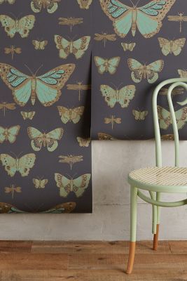 Cole & Son Lepidoptera Wallpaper added by sarah spagnola