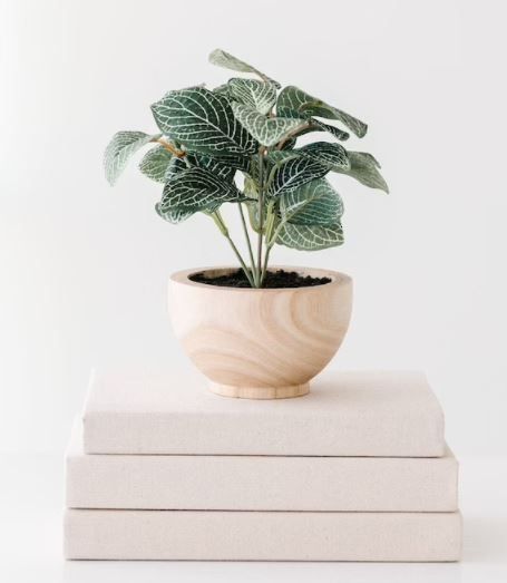Books for staging added by CityHome DesignTeam