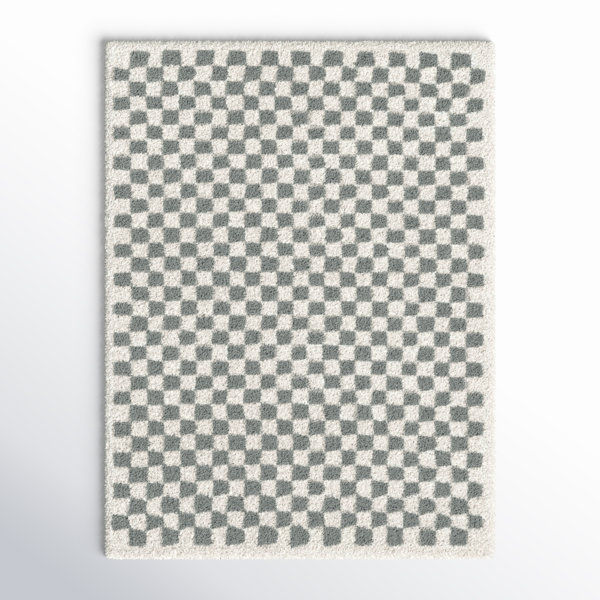 Mikes Checkered Rug added by Nikki Schwent