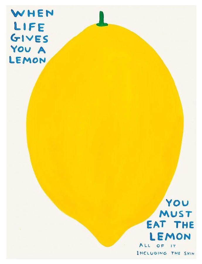 David Shrigley - David Shrigley 'When Life Gives You Lemons' print, 2021 added by Liliana Matos