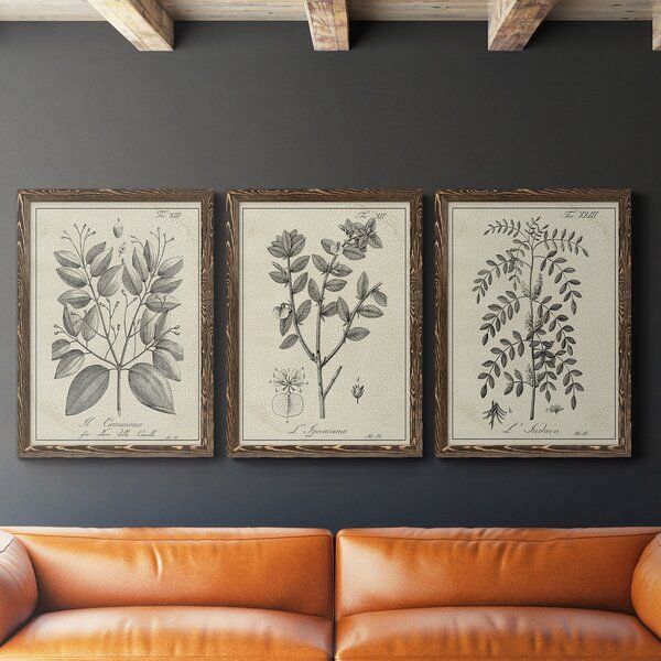 " Antique Black And White Botanical VII " 3 - Pieces on Canvas added by Olivia Otte