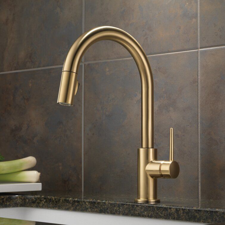 Trinsic Pull Down Single Handle Kitchen Faucet with Accessories added by Spoak Member