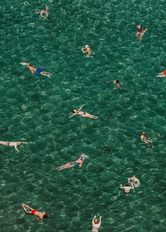 Mediterranean Mingle Print added by Janine Springer