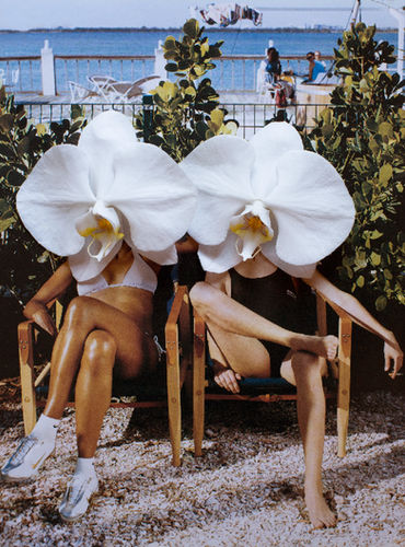 Ladies In Waiting | DINA BROADHURST added by Spoak 